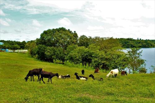 Agroturismo Para�so D��ngelo