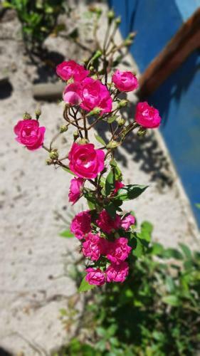 Hostal Casas Barra Sol