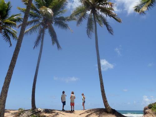 Hostal Luar Do Le�o Bungalow