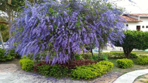 Hotel Pousada Ecol�gica Das Brom�lias