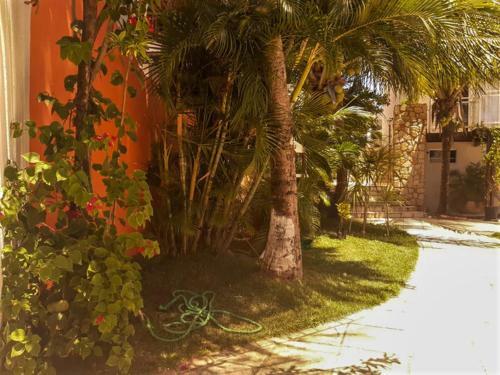Innsenso B&B