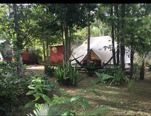 Monkey Forest Chal� And Camping
