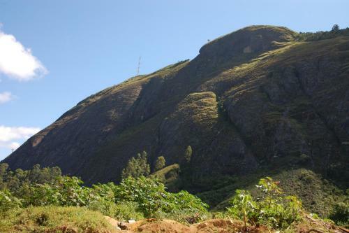 Canto Dos P�ssaros