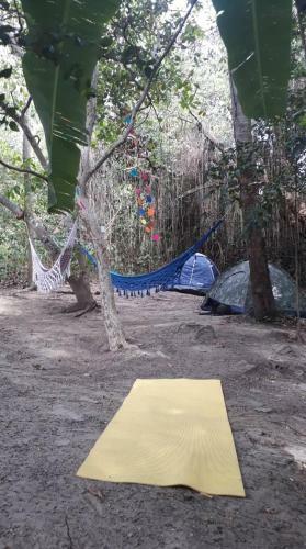 Camping Carnaval Olinda