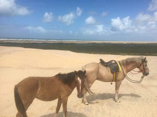 Beach House Pontal Do Peba Alagoas