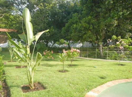 Apartamento Pipa 101 Ubaia Residence