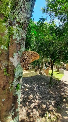 Hostal Pousada Recanto Dos Canyons