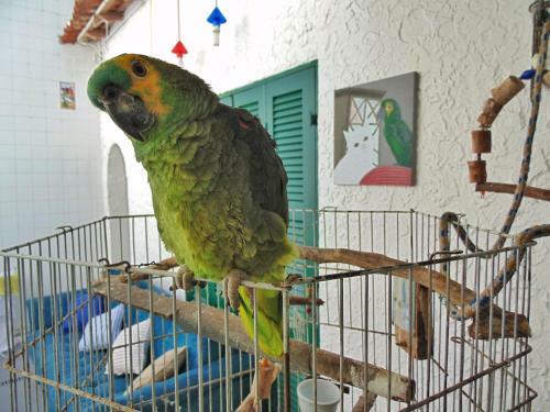 Hostel Maresias Do Leme