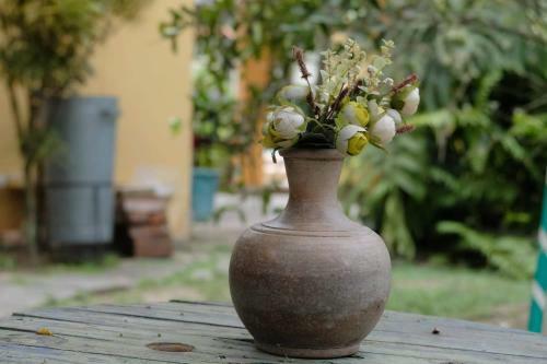 Bed & Breakfast Casa de Noca Paquet�