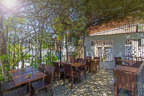 Bed & Breakfast Discovery Suites Rio