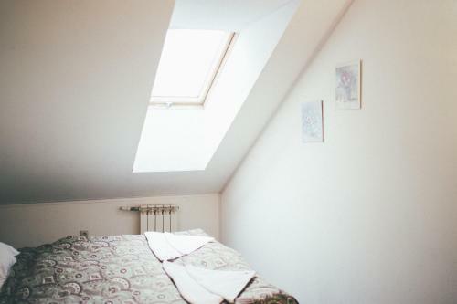 Roofhostel