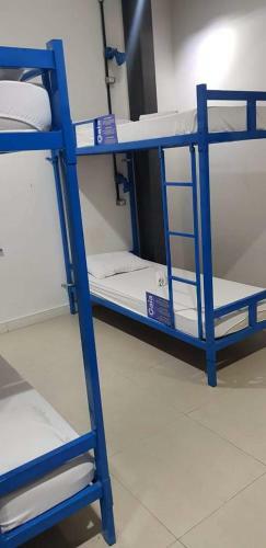 Gaia Comfort Hostel