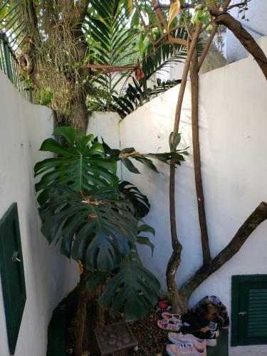 Cantinho Em Santa Teresa