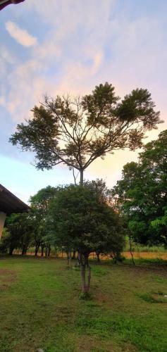 Hostal Sitio Vilela - Inhotim Hospedagem E Translado
