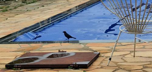 Hostal Sitio Vilela - Inhotim Hospedagem E Translado
