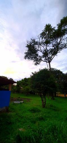 Hostal Sitio Vilela - Inhotim Hospedagem E Translado