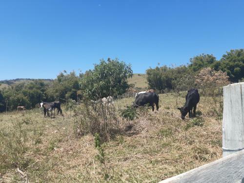 Hostal Restaurante E Pousada Chique Na Ro�a