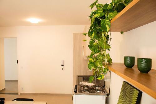 Apartamento Anylife Pop Vila Buarque