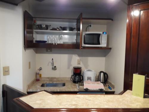 Apartamento Higien�polis Flat