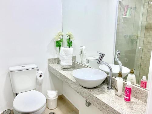Apartamento Ap Augusta/frei Caneca C/infinity Pool Cd414