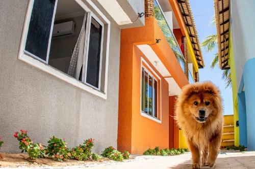Bed & Breakfast Vila Das Dunas