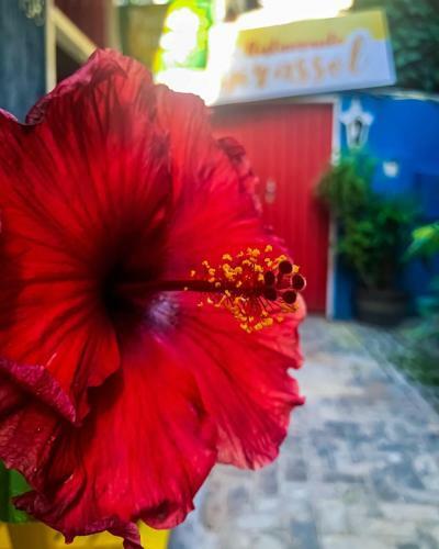 Hostal Pousada Girassol
