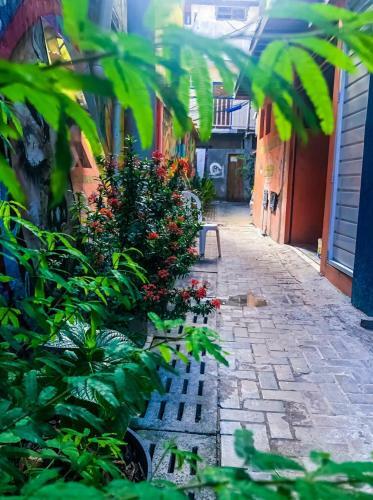 Hostal Pousada Girassol