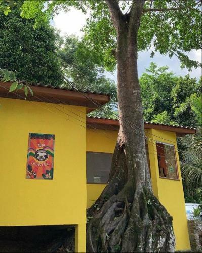 Bicho Pregui�a Hostel