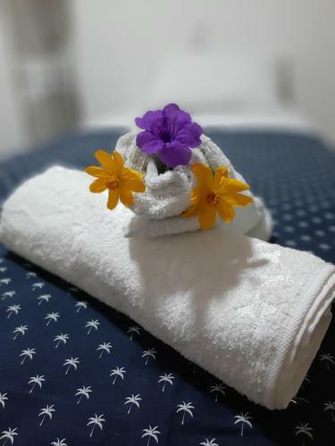 Hostal Raizes De Noronha