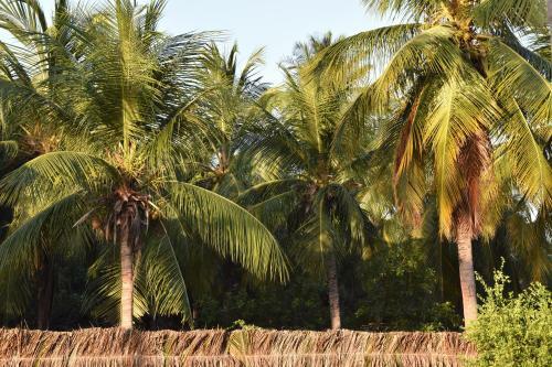 Hostal Velho Bateau