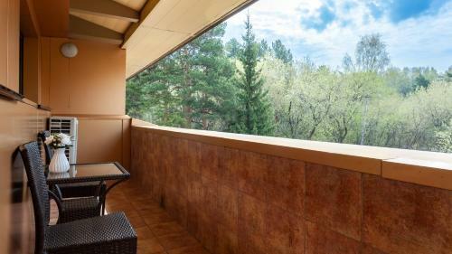 Sosnoviy Bor Hotel