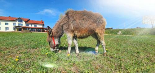 Agroturismo ????????? Kupala