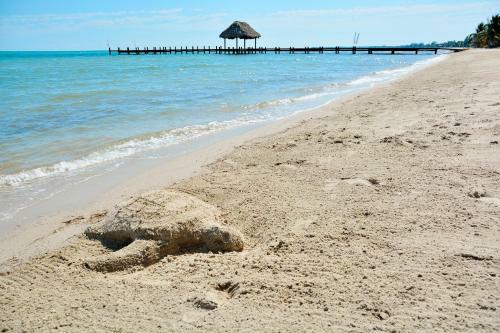 Apartamento Seiri Del Mar