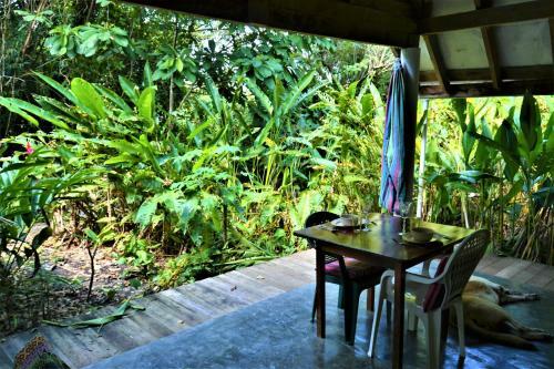 Hummingbird Rest A Fully Equipped Cabana In Subtropic Garden