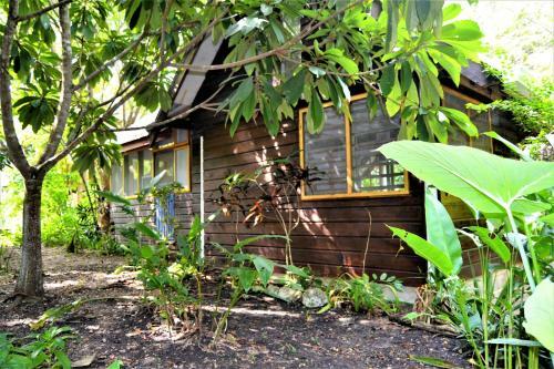 Hummingbird Rest A Fully Equipped Cabana In Subtropic Garden