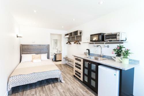 Hostal Whale House Guest House