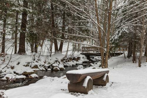 Apartamento Bondurant By Tremblant Platinum