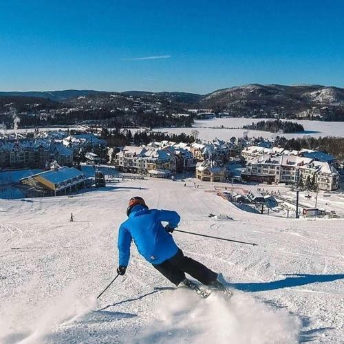 Chouette On The Mountain By Suite Spot