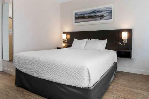 Hotel Quality Inn