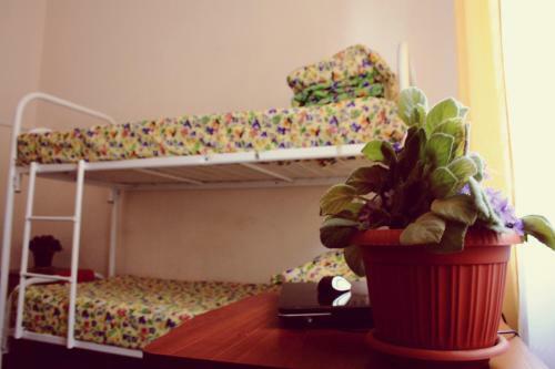 Dom Hostel