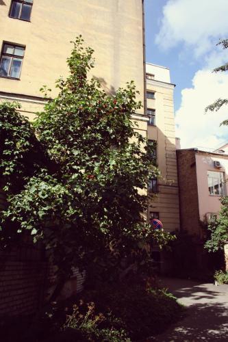 Dom Hostel