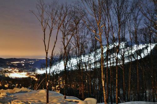 34- Chalet � Louer � Stoneham