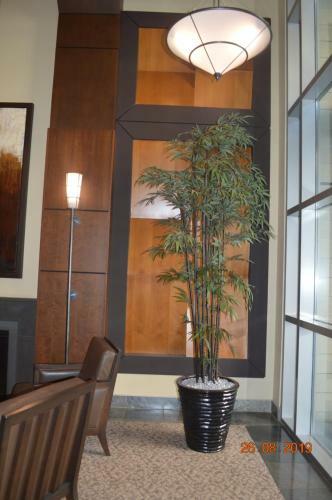 Apartamento Euphoria At The Astoria