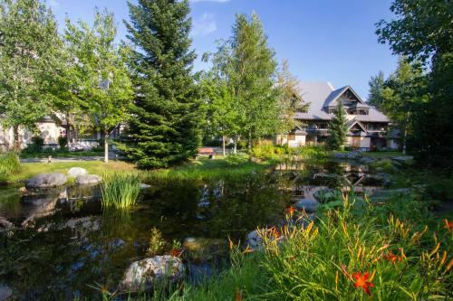 #63 Lagoons, Stoney Creek