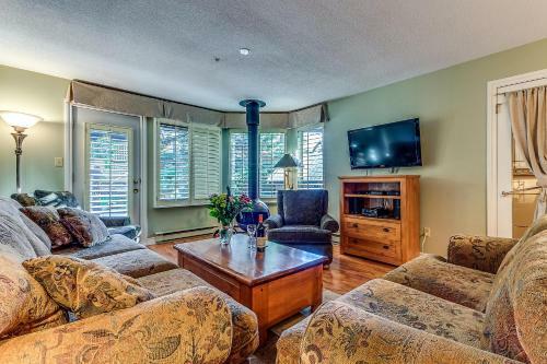 Wintergreen 27 - Fireplace