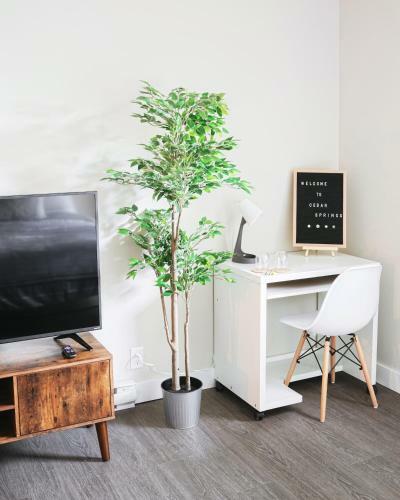 Apartamento Cedar Springs Harrison Lake