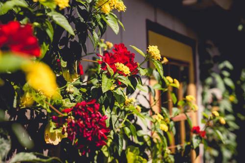 Auberge Dans Les Bras de Morph�e B&B