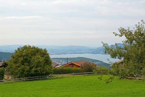 Traditionelles Chalet Sch�rmtanne