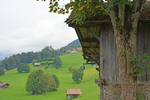 Traditionelles Chalet Sch�rmtanne