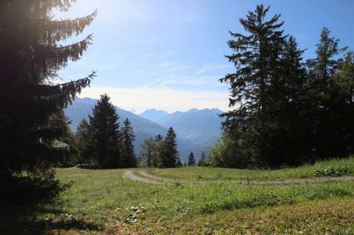 Chalet Familial Les Girolles Aux Portes D'anz�re